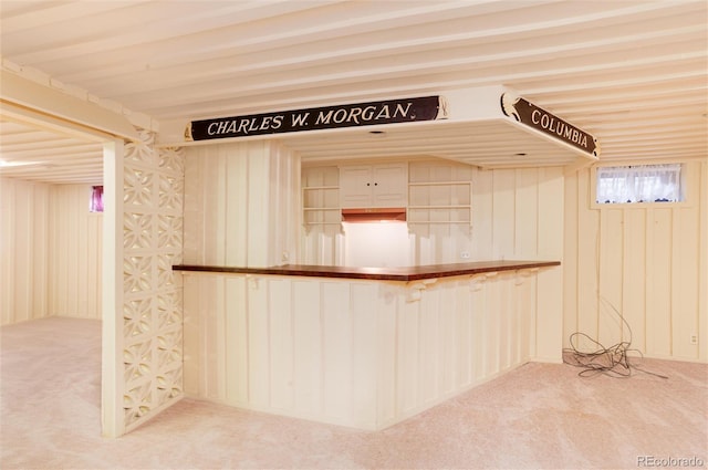 bar with light colored carpet and wood walls