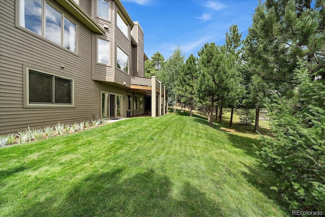 1456 Shavano Ct, Evergreen, CO 80439 - view of grassy yard
