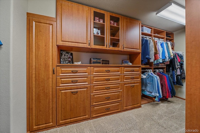 1456 Shavano Ct, Evergreen, CO 80439 - spacious closet featuring carpet flooring