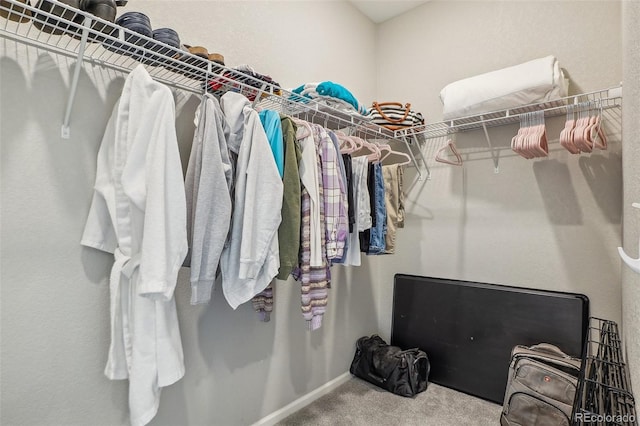 5928 N Odessa St, Aurora, CO 80019 - walk in closet featuring carpet floors