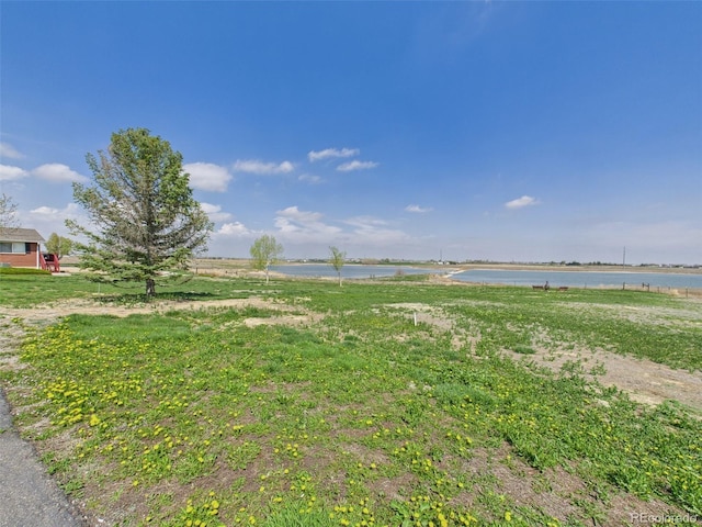 5425 County Road 32 Unit 15, Mead, CO 80504 - photo 24