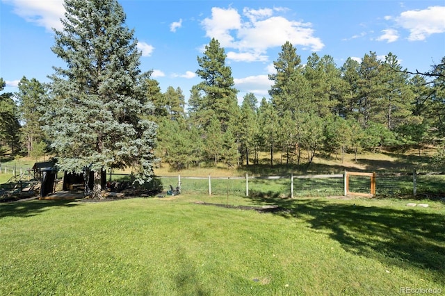 view of yard with a rural view