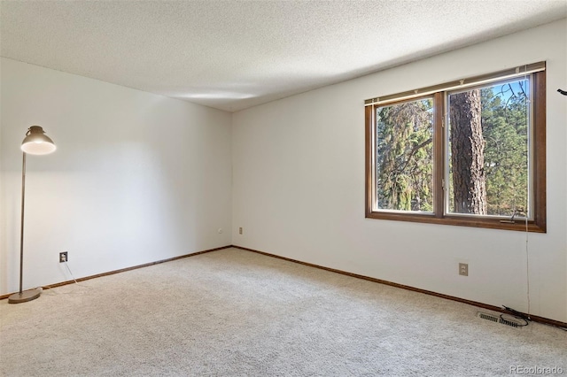 carpeted empty room with plenty of natural light and a textured ceiling