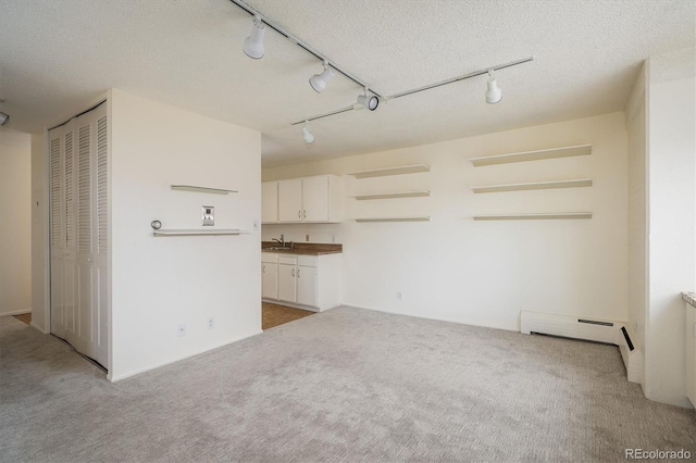 850 20th St Unit 203, Boulder, CO 80302 - spare room featuring track lighting, carpet floors, a sink, a baseboard heating unit, and a textured ceiling