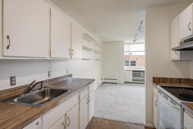 850 20th St Unit 203, Boulder, CO 80302 - kitchen featuring a sink, carpet flooring, track lighting, white cabinetry, and electric range