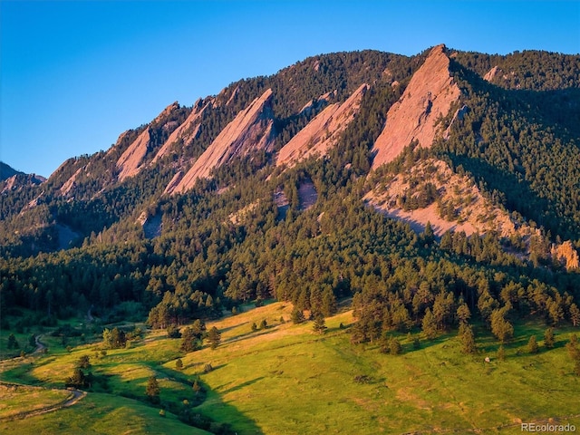 850 20th St Unit 203, Boulder, CO 80302 - view of mountain backdrop with a heavily wooded area