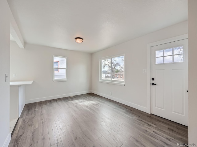 entrance foyer featuring a wealth of natural light and wood-type flooring