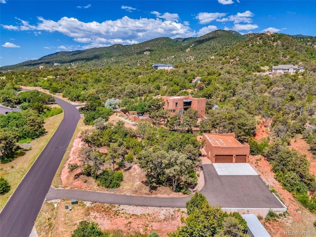 15660 Rancho Pavo Dr, Colorado Springs, CO 80926 - photo 49