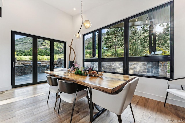 dining room with french doors and light hardwood / wood-style flooring