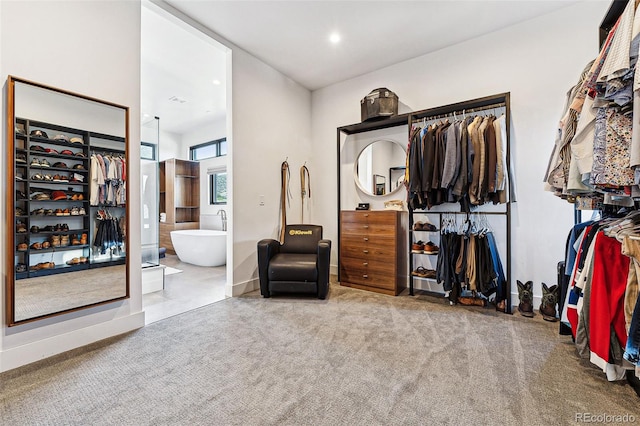 spacious closet with carpet floors