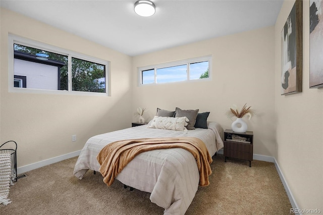 7380 Utica St, Westminster, CO 80030 - photo 5