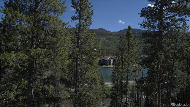 mountain view with a water view and a wooded view