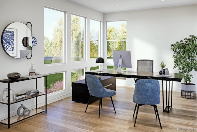 home office featuring wood finished floors and ornamental molding