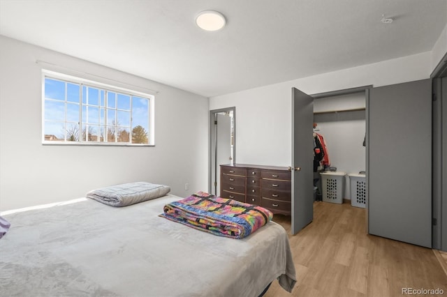 bedroom featuring a walk in closet, a closet, and light wood finished floors