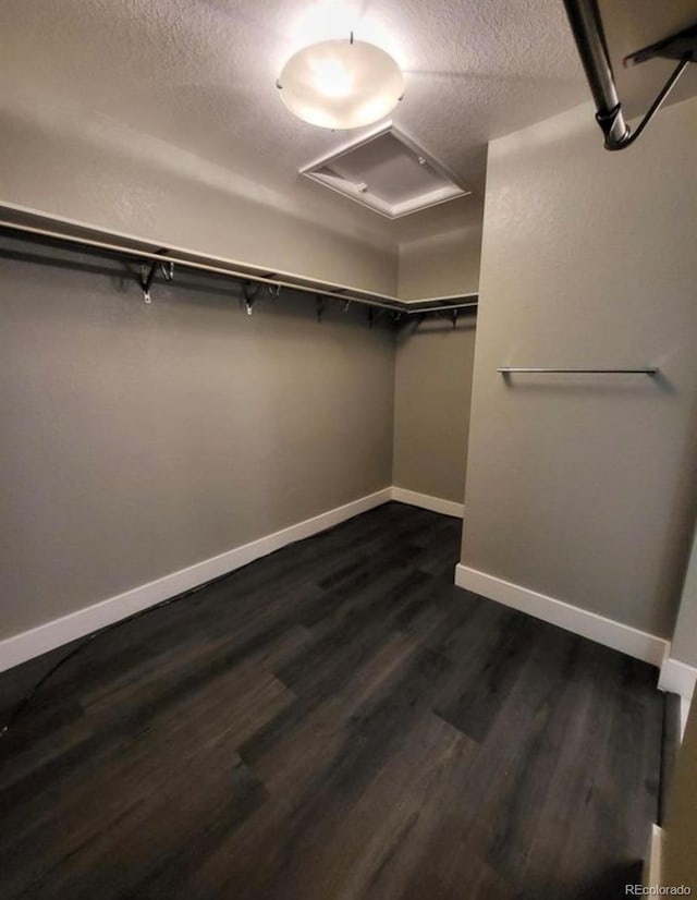 5570 Halifax St, Denver, CO 80249 - photo 11