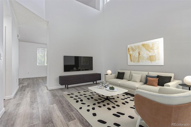 19466 E 59th Dr, Aurora, CO 80019 - living area with wood finished floors and a towering ceiling