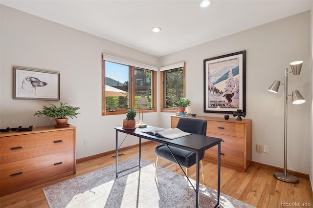 31402 N Bermuda Dunes Dr, Evergreen, CO 80439 - office space featuring light wood-style floors and recessed lighting