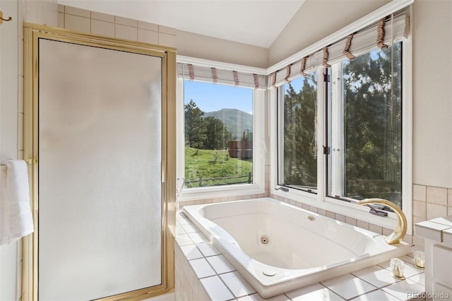 31402 N Bermuda Dunes Dr, Evergreen, CO 80439 - full bathroom with a mountain view, lofted ceiling, a stall shower, and a tub with jets