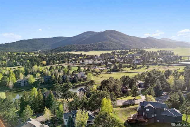 31402 N Bermuda Dunes Dr, Evergreen, CO 80439 - mountain view