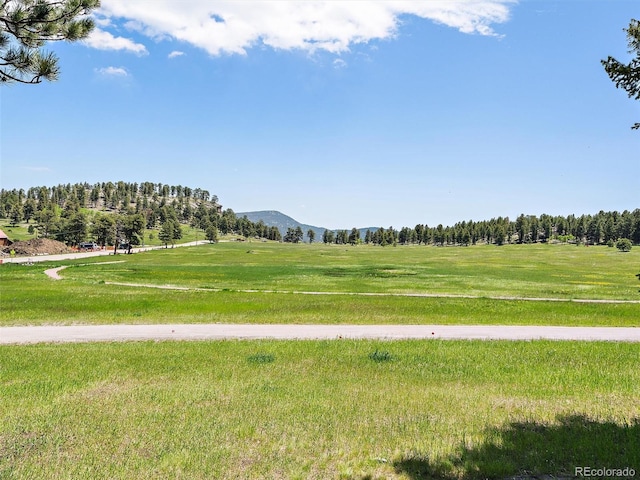 31756 Buffalo Park Rd, Evergreen, CO 80439 - view of community featuring a mountain view and a lawn