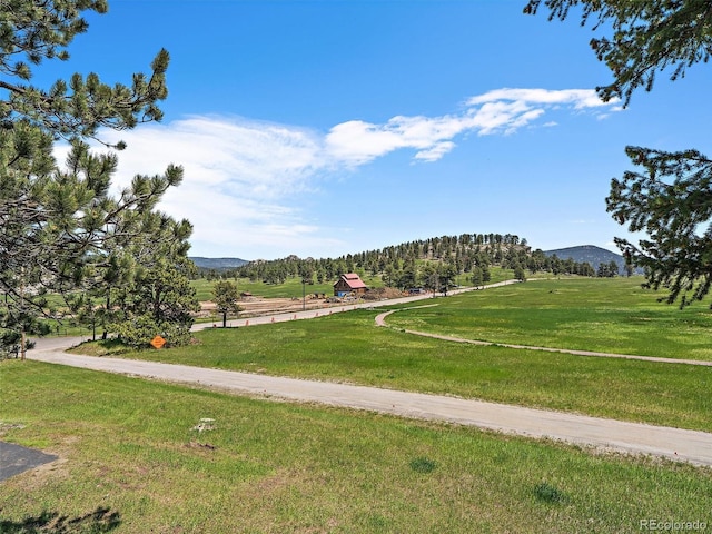31756 Buffalo Park Rd, Evergreen, CO 80439 - view of property's community featuring a mountain view, a view of rural / pastoral area, and a yard