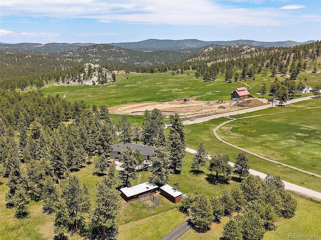 31756 Buffalo Park Rd, Evergreen, CO 80439 - aerial view of mountains