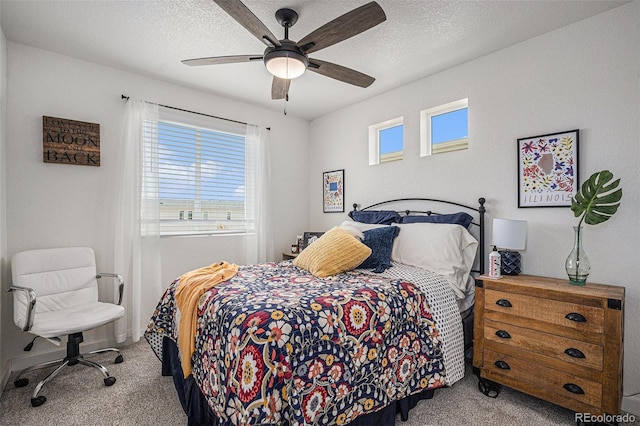 4957 N Walden Way, Denver, CO 80249 - photo 19