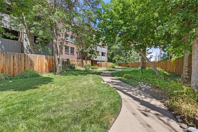 2227 Canyon Blvd Unit 261B, Boulder, CO 80302 - photo 2