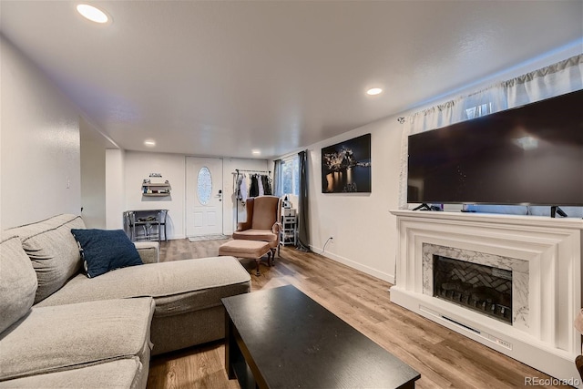 living room with a high end fireplace and hardwood / wood-style flooring