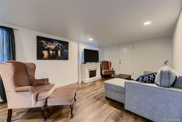 living room featuring hardwood / wood-style floors