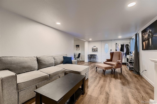 living room featuring hardwood / wood-style flooring