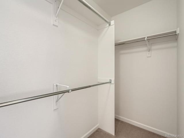 spacious closet with carpet flooring