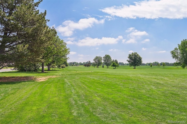3482 E 28th Ave, Denver, CO 80205 - view of grassy yard