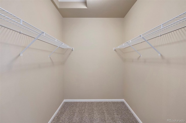 walk in closet featuring carpet floors