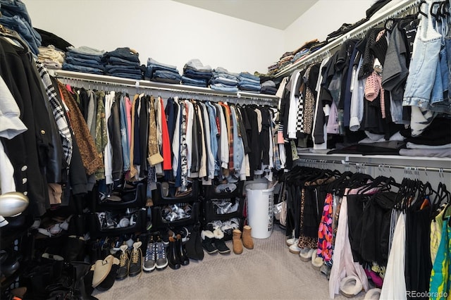 walk in closet with carpet floors