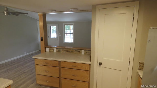 150 Palmer Ave, Poncha Springs, CO 81242 - bathroom featuring wood finished floors and a ceiling fan