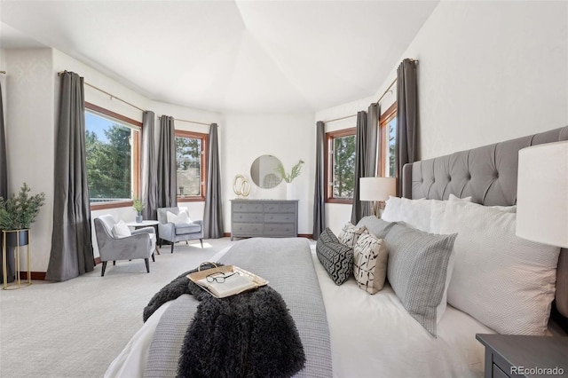 bedroom with carpet flooring