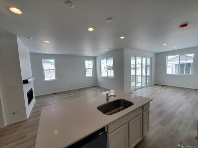 kitchen with light hardwood / wood-style floors, sink, a wealth of natural light, and an island with sink