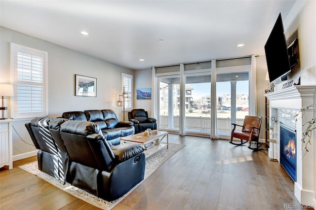 living room featuring a premium fireplace, a healthy amount of sunlight, and hardwood / wood-style floors