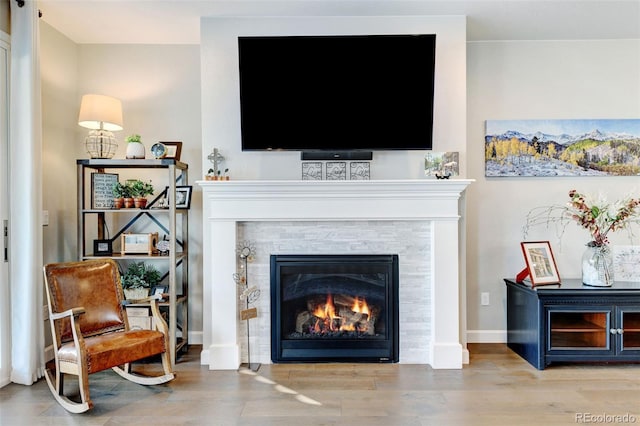 living room featuring hardwood / wood-style flooring