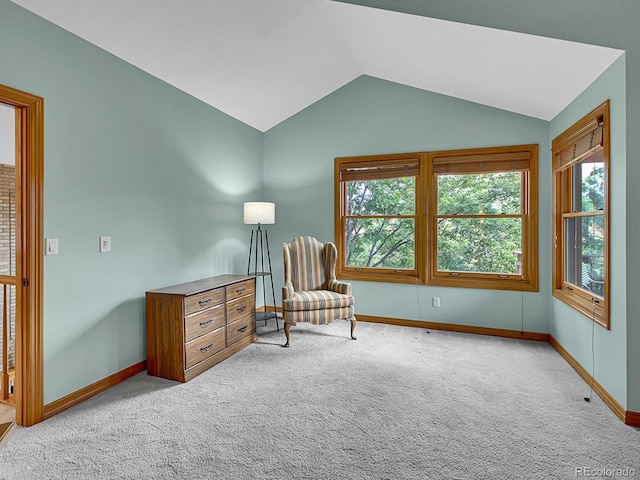 2074 Terrace Dr, Highlands Ranch, CO 80126 - photo 24