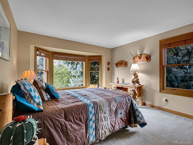 2074 Terrace Dr, Highlands Ranch, CO 80126 - photo 27