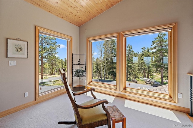 13007 Kuehster Rd, Littleton, CO 80127 - photo 38