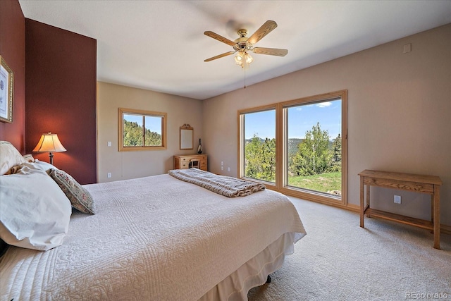 13007 Kuehster Rd, Littleton, CO 80127 - photo 44