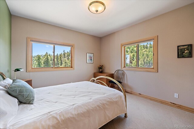 13007 Kuehster Rd, Littleton, CO 80127 - photo 46