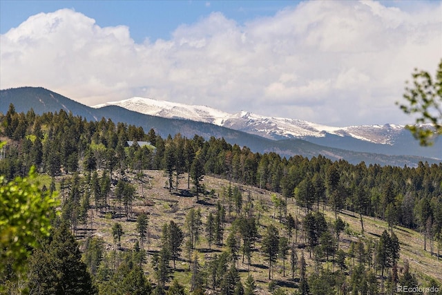 13007 Kuehster Rd, Littleton, CO 80127 - photo 47