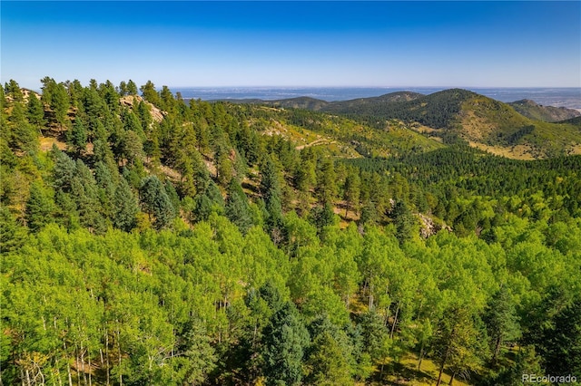 13007 Kuehster Rd, Littleton, CO 80127 - photo 8