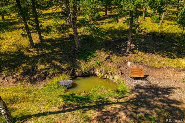 13007 Kuehster Rd, Littleton, CO 80127 - photo 9