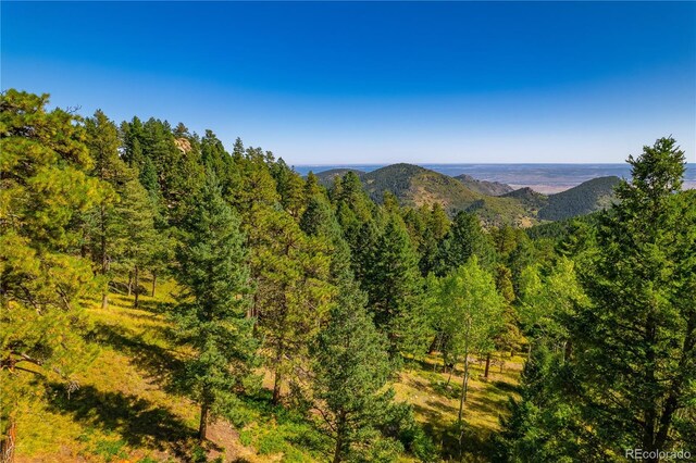 13007 Kuehster Rd, Littleton, CO 80127 - photo 10