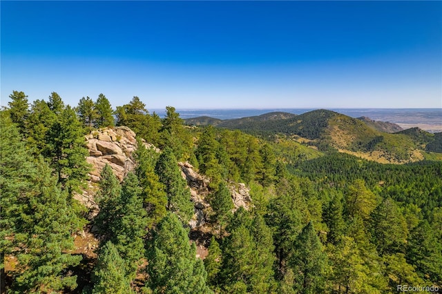 13007 Kuehster Rd, Littleton, CO 80127 - photo 12